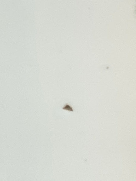 Pot à pharmacie en faïence avec couvercle à décor égyptien du XIXème siècle.