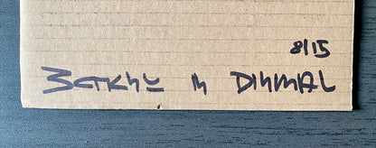 Copyright Boy - Banksy - Dismaland