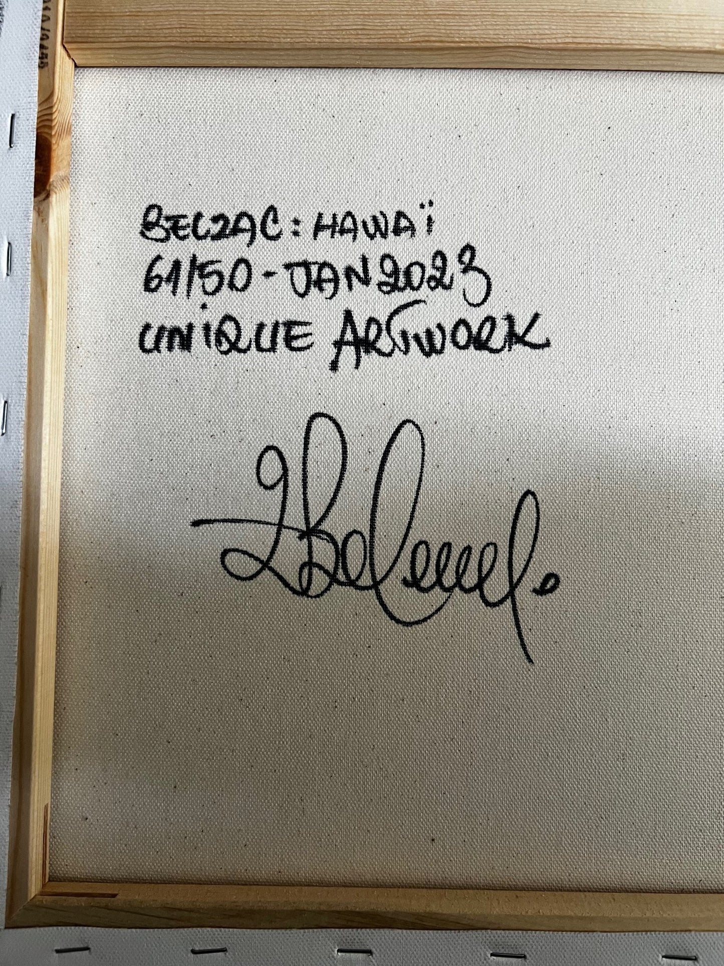 « HAWAÏ » de Belzac (1984) - Toile originale acrylique et aérosol